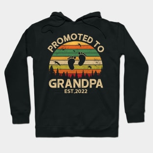 Promoted To Grandpa Est 2022 Pregnancy Announcement Vintage Hoodie